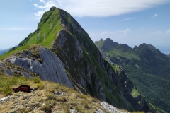 Vetta del Monte Pisanino